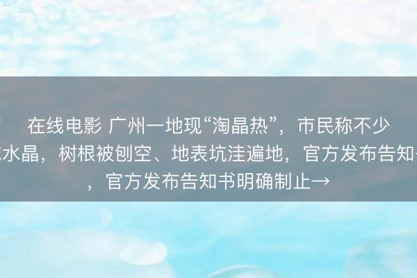在线电影 广州一地现“淘晶热”，市民称不少家长带孩子挖水晶，树根被刨空、地表坑洼遍地，官方发布告知书明确制止→
