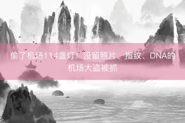 偷了机场114盏灯！没留照片、指纹、DNA的机场大盗被抓