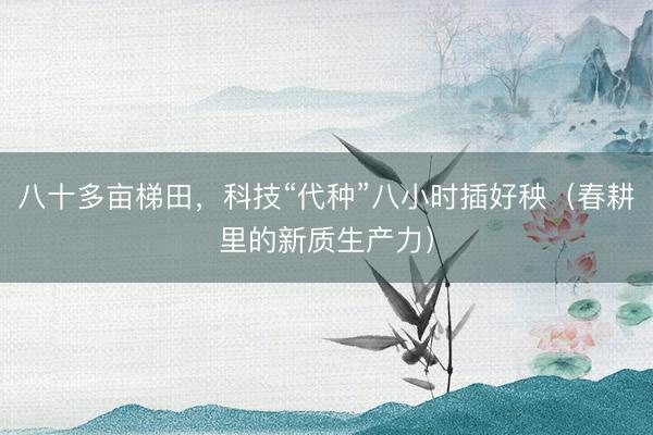八十多亩梯田，科技“代种”八小时插好秧（春耕里的新质生产力）