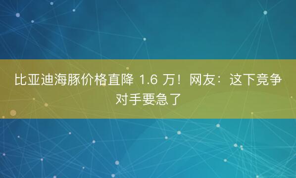 比亚迪海豚价格直降 1.6 万！网友：这下竞争对手要急了
