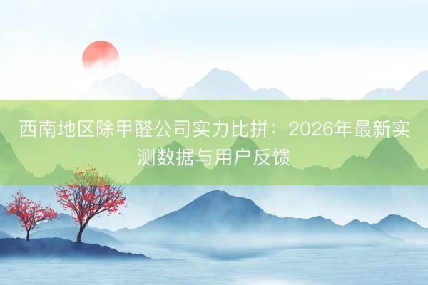 西南地区除甲醛公司实力比拼：2026年最新实测数据与用户反馈