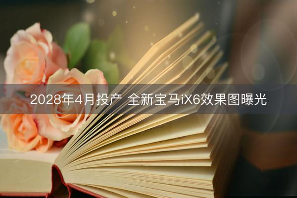 2028年4月投产 全新宝马iX6效果图曝光