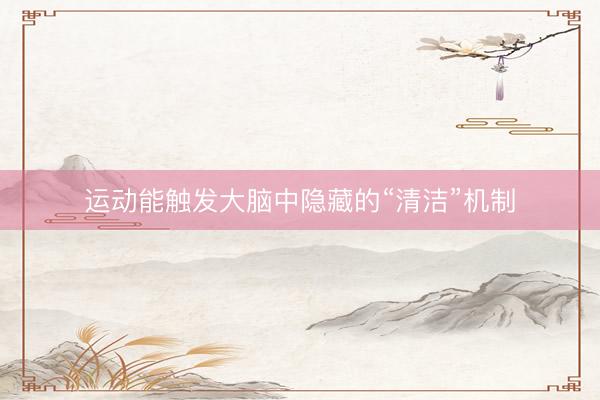 运动能触发大脑中隐藏的“清洁”机制