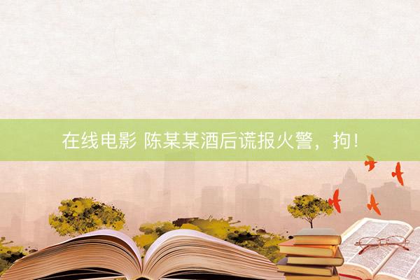 在线电影 陈某某酒后谎报火警，拘！