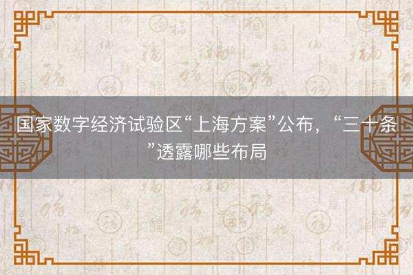 国家数字经济试验区“上海方案”公布，“三十条”透露哪些布局