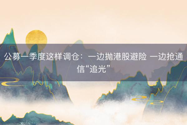 公募一季度这样调仓：一边抛港股避险 一边抢通信“追光”