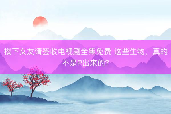 楼下女友请签收电视剧全集免费 这些生物，真的不是P出来的？
