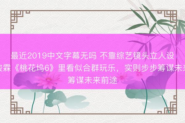 最近2019中文字幕无吗 不靠综艺镜头立人设，贺峻霖《桃花坞6》里看似合群玩乐，实则步步筹谋未来前途