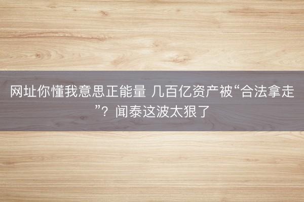 网址你懂我意思正能量 几百亿资产被“合法拿走”？闻泰这波太狠了