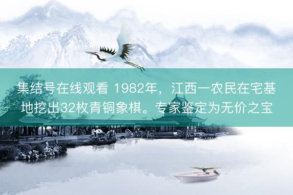集结号在线观看 1982年，江西一农民在宅基地挖出32枚青铜象棋。专家鉴定为无价之宝