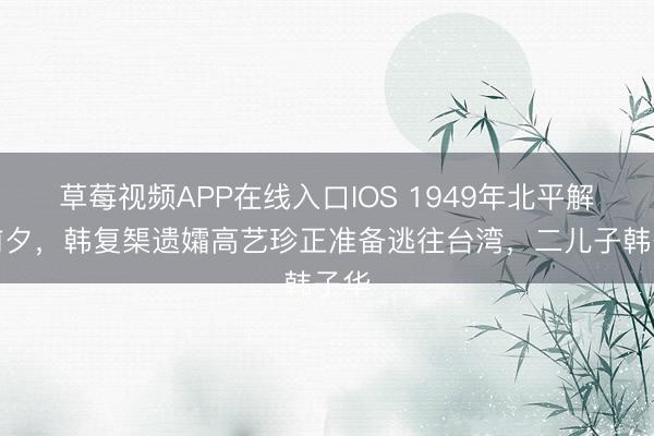 草莓视频APP在线入口IOS 1949年北平解放前夕,韩复榘遗孀高艺珍正准备逃往台湾,二儿子韩子华