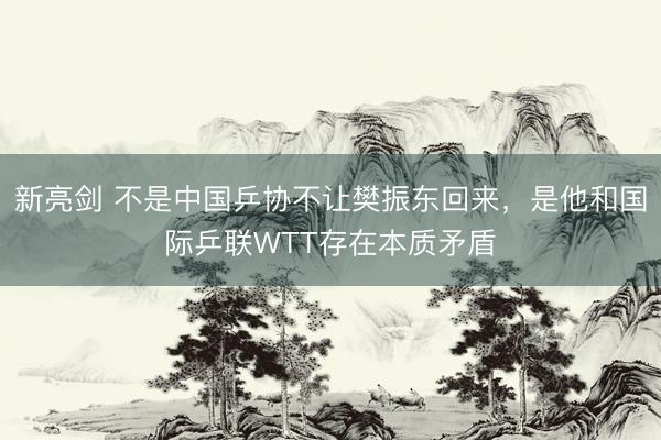 新亮剑 不是中国乒协不让樊振东回来，是他和国际乒联WTT存在本质矛盾