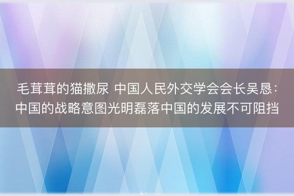 毛茸茸的猫撒尿 中国人民外交学会会长吴恳:中国的战略意图光明磊落中国的发展不可阻挡