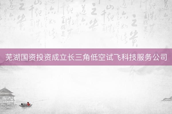 芜湖国资投资成立长三角低空试飞科技服务公司