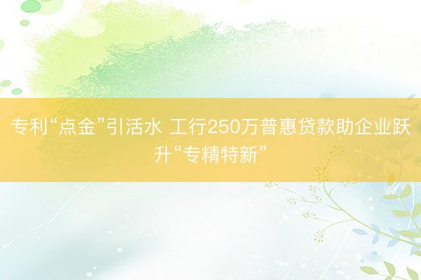 专利“点金”引活水 工行250万普惠贷款助企业跃升“专精特新”