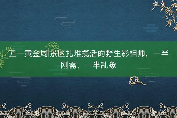 五一黄金周|景区扎堆揽活的野生影相师，一半刚需，一半乱象