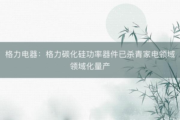 格力电器：格力碳化硅功率器件已杀青家电领域领域化量产