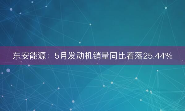 东安能源：5月发动机销量同比着落25.44%