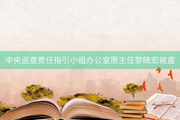 中央巡查责任指引小组办公室原主任黎晓宏被查