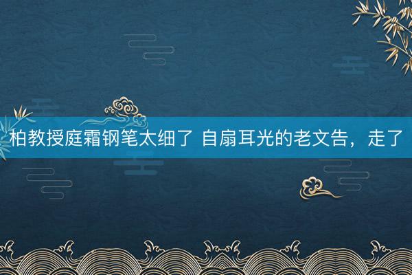 柏教授庭霜钢笔太细了 自扇耳光的老文告，走了