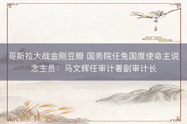 哥斯拉大战金刚豆瓣 国务院任免国度使命主说念主员：马文辉任审计署副审计长