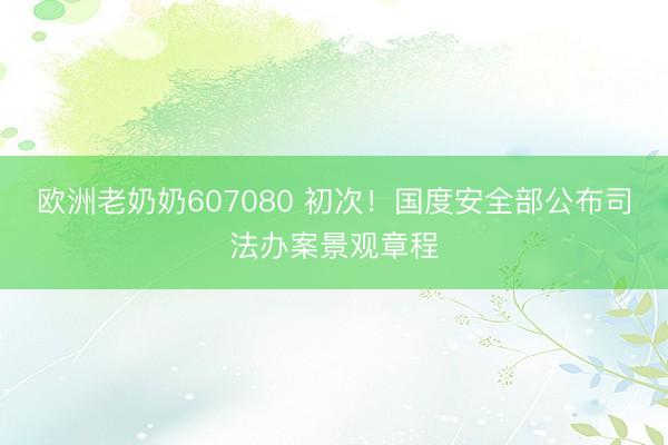 欧洲老奶奶607080 初次！国度安全部公布司法办案景观章程