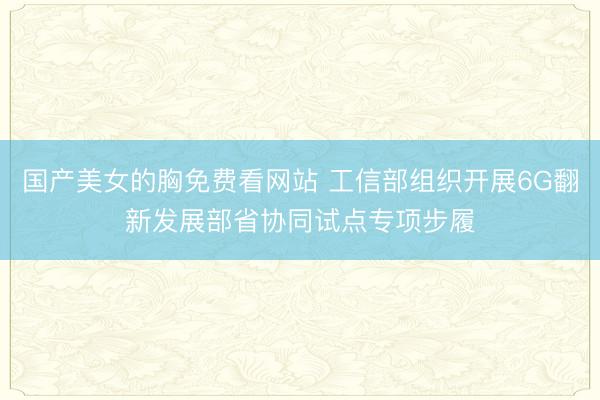 国产美女的胸免费看网站 工信部组织开展6G翻新发展部省协同试点专项步履