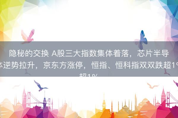 隐秘的交换 A股三大指数集体着落，芯片半导体逆势拉升，京东方涨停，恒指、恒科指双双跌超1%