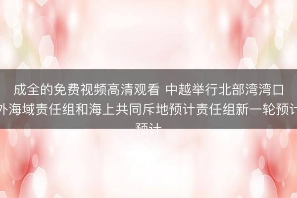 成全的免费视频高清观看 中越举行北部湾湾口外海域责任组和海上共同斥地预计责任组新一轮预计