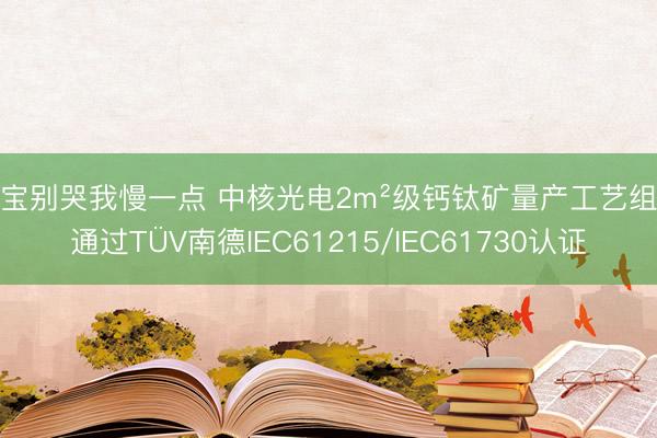 宝宝别哭我慢一点 中核光电2m²级钙钛矿量产工艺组件通过TÜV南德IEC61215/IEC61730认证