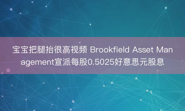 宝宝把腿抬很高视频 Brookfield Asset Management宣派每股0.5025好意思元股息