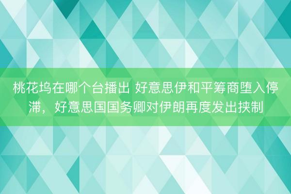 桃花坞在哪个台播出 好意思伊和平筹商堕入停滞，好意思国国务卿对伊朗再度发出挟制