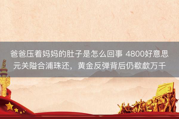 爸爸压着妈妈的肚子是怎么回事 4800好意思元关隘合浦珠还，黄金反弹背后仍欷歔万千