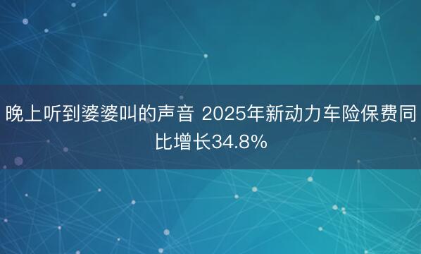 晚上听到婆婆叫的声音 2025年新动力车险保费同比增长34.8%