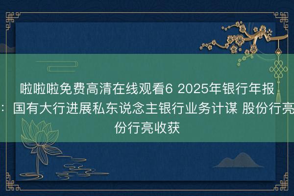 啦啦啦免费高清在线观看6 2025年银行年报透视：国有大行进展私东说念主银行业务计谋 股份行亮收获