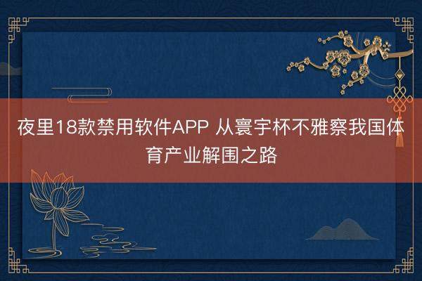 夜里18款禁用软件APP 从寰宇杯不雅察我国体育产业解围之路