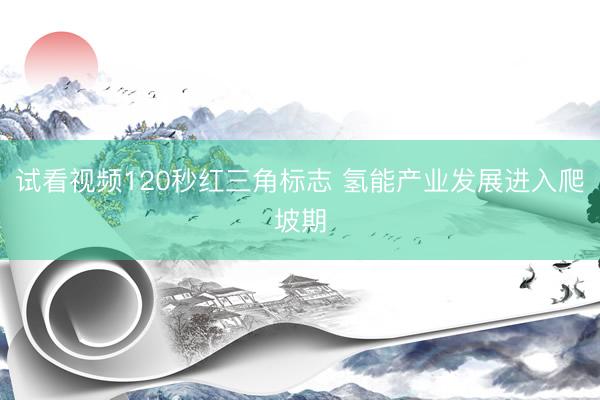 试看视频120秒红三角标志 氢能产业发展进入爬坡期