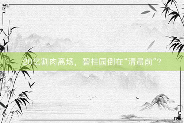 20亿割肉离场，碧桂园倒在“清晨前”？