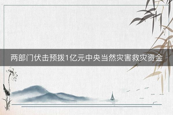 两部门伏击预拨1亿元中央当然灾害救灾资金