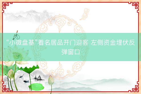 “小微盘基”着名居品开门迎客 左侧资金埋伏反弹窗口