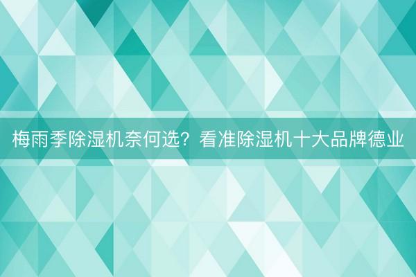 梅雨季除湿机奈何选？看准除湿机十大品牌德业